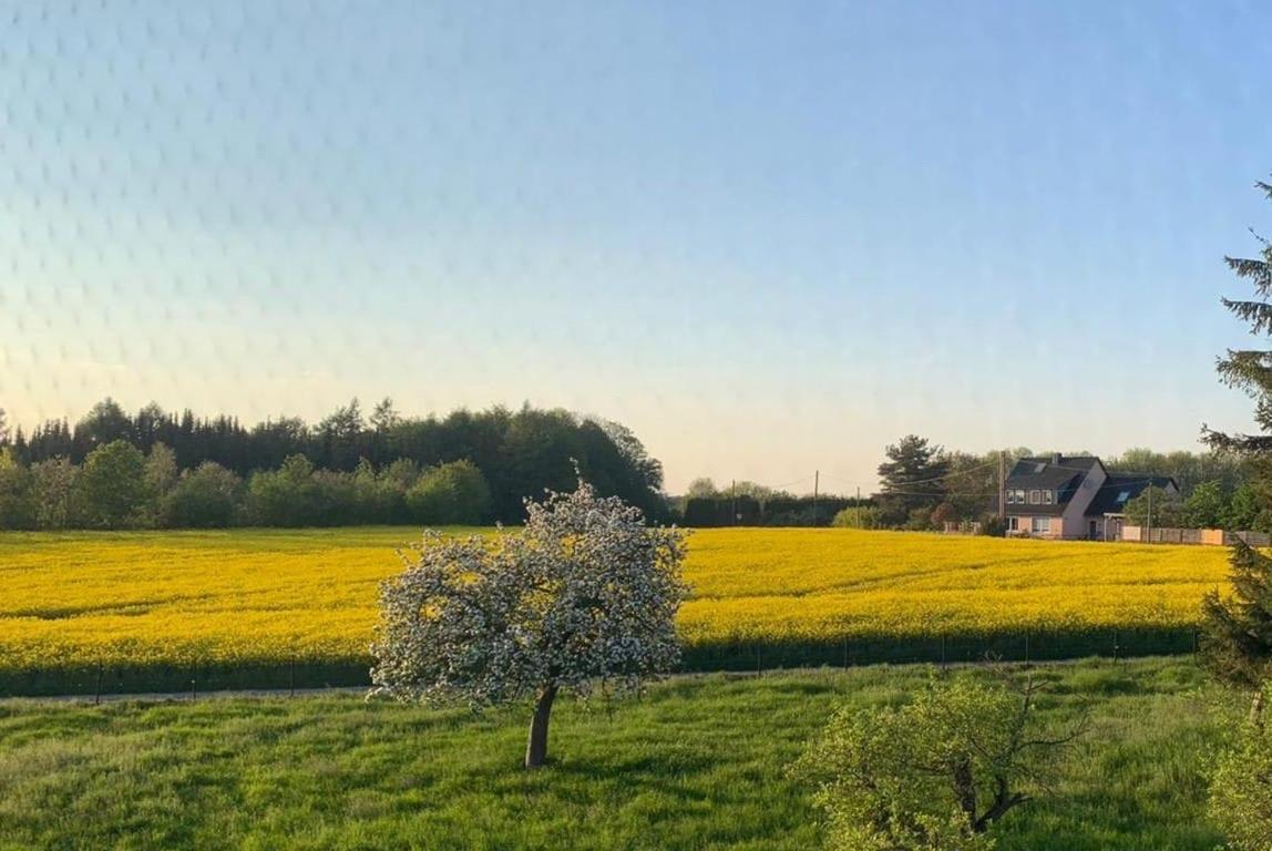 شقة Kleine Auszeit Mit Aussicht Velbert Toenisheide المظهر الخارجي الصورة